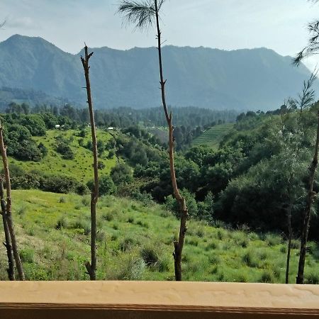 Lava View Lodge ブロモ山 エクステリア 写真