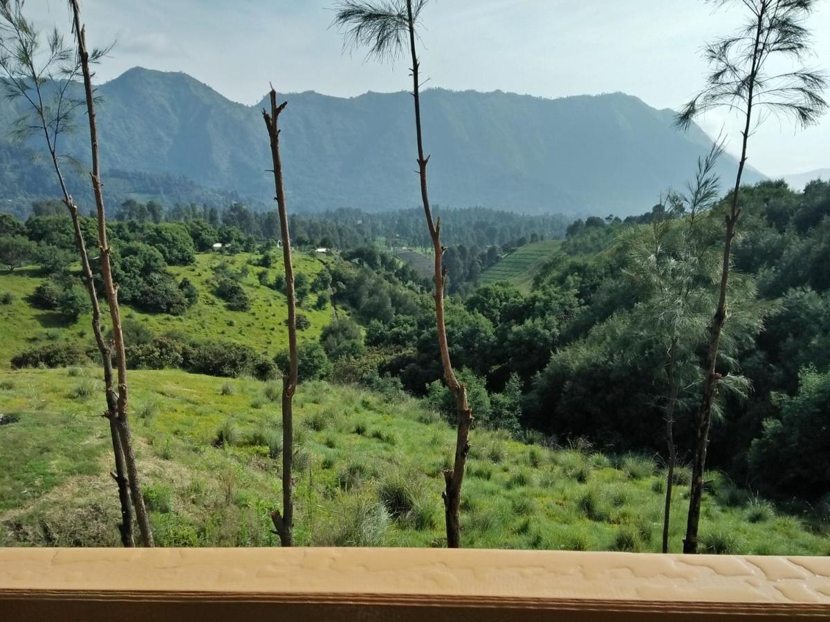 Lava View Lodge ブロモ山 エクステリア 写真